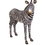 Thumbnail: Zebra Standing -Baby