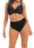 Thumbnail: Elomi Priya Full Brief     EL4555