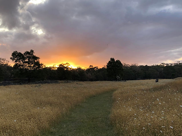Sunset in Budj Bim.
