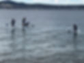 IMG_1986.jpeg