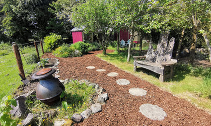 firepit and seating bench in the garden on a sunny day