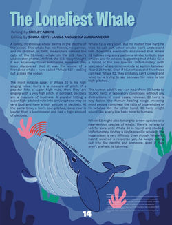 The Loneliest Whale