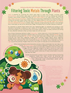 Filtering Toxic Metals Through Plants