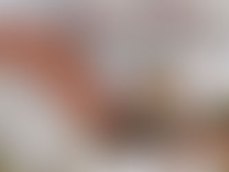 A Beginners Guide to Fantasy