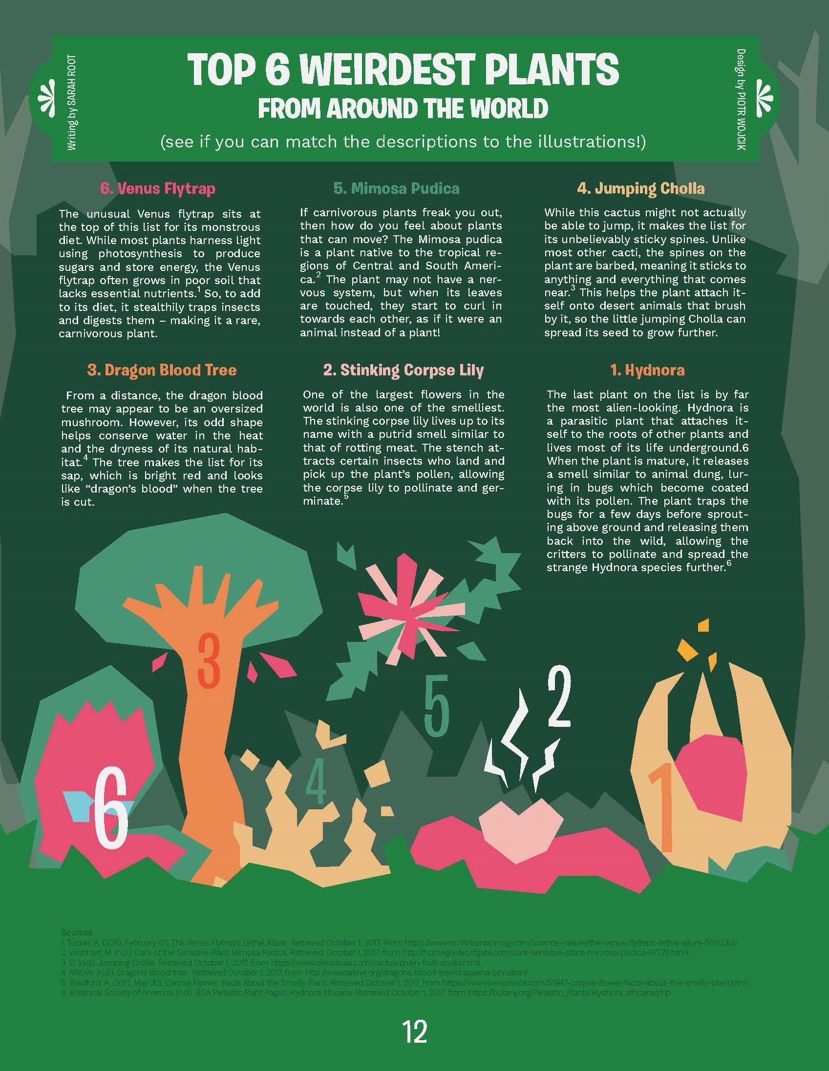 Top 6 Weirdest Plants