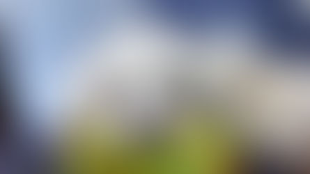 Les Fleurs de Bach et les Animaux