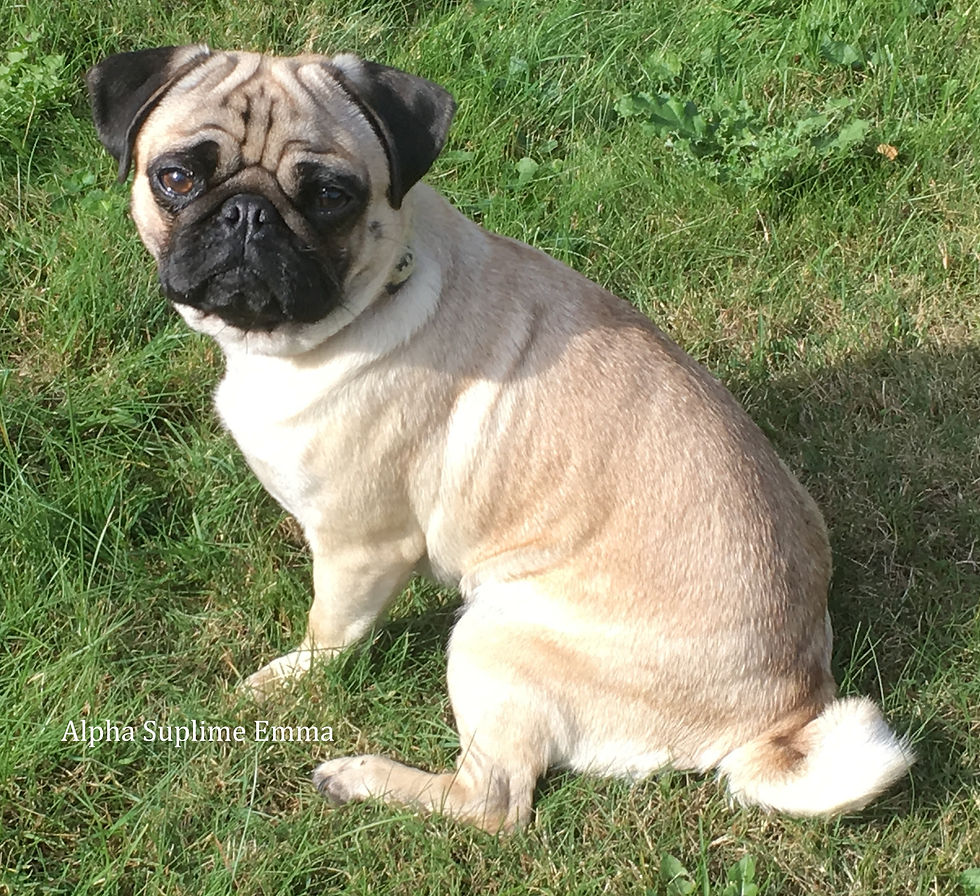 Emma