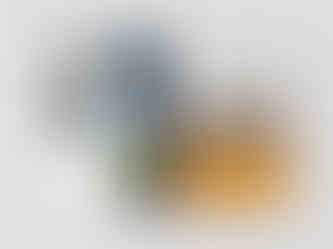 International Athletes Spread