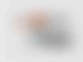 Office Remodel Spread