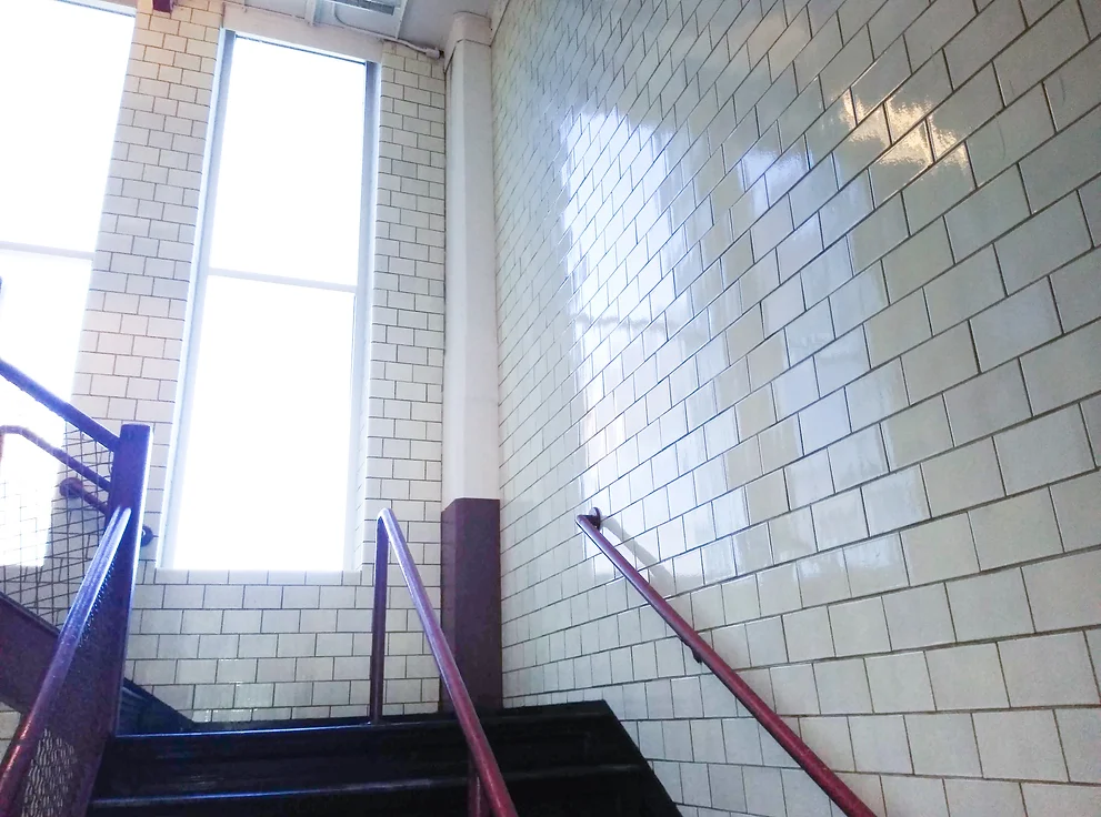tile_cleaning.webp
