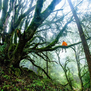 Pravda v informační džungli