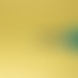 Očkování a příbalové letáky