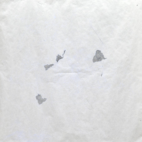 Maya Lama art 5.jpg