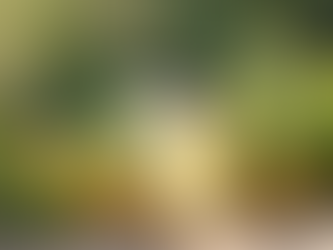 The Power of Organic Ingredients in Pampered by Lisa Skincare for Radiant Skin