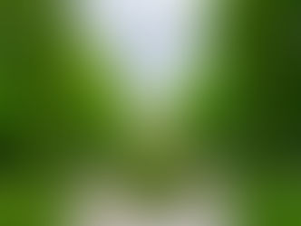 1. Allons-y! (let's go!)