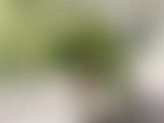 #4 a quick update....