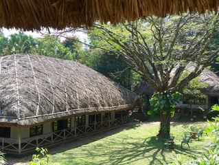 17. a ride on a bullock cart