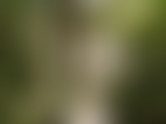 #6 Wandering Montmartre