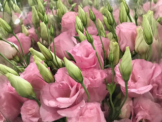 #4 city of beautiful idiots and brilliant lunatics