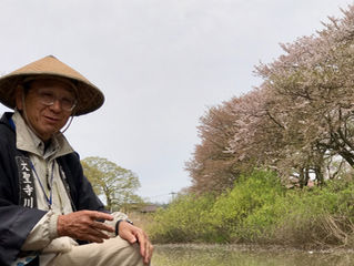 13. Daishoji cruising