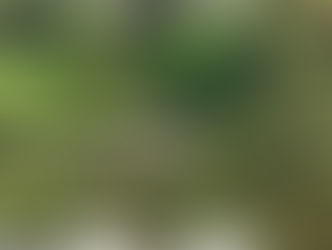 21. post-Japan planning