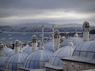 7. A ripper of a day