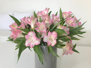 #10 from Sydney skies to publishers' eyes...