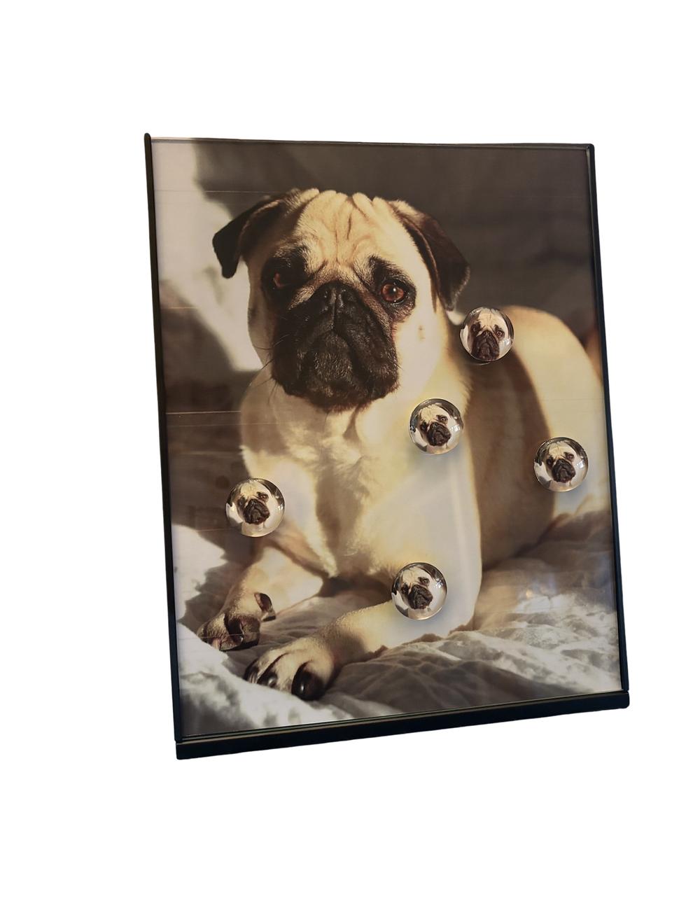 Thumbnail: Best Gift For Pug Owners - Desktop Magnet/Memo Board Featuring Your Dog