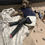 Thumbnail: dog with drag suit