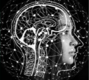 BalancedBrainBlueprint_edited_edited_edi