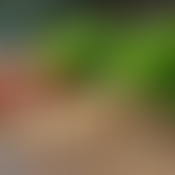 Discover the Hidden Benefits of Magnesium for Your Health