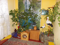 Кімната казок