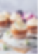 Vegan Vanilla Cupcake
