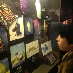 EXPO
