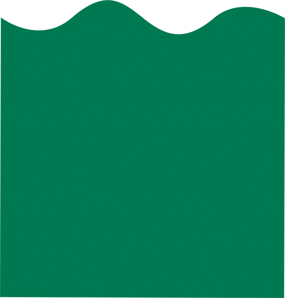 Rectangle 1 (1).png