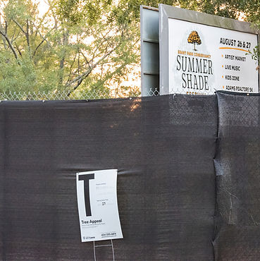 A black construction fence in front of a Summer Shade Festival sign.