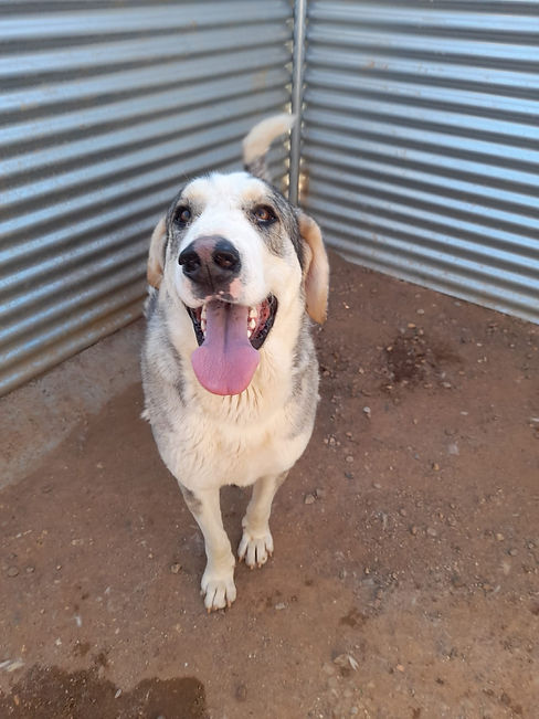 WhatsApp Image 2022-05-02 at 23.10.25 (3).jpeg