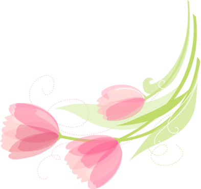 drawn pink tulip graphic