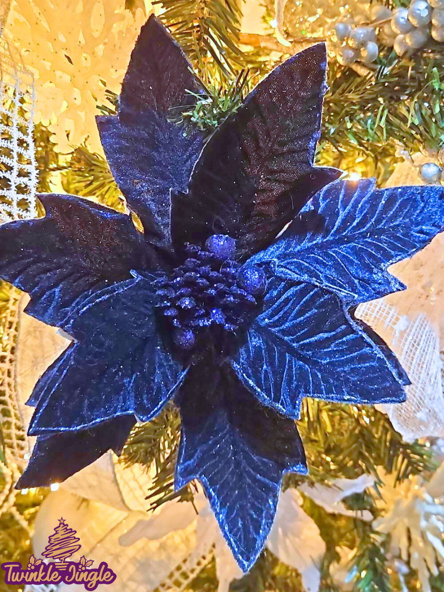 Blue Velvet Poinsettia