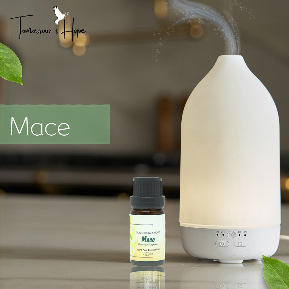 Thumbnail: Mace 100% Pure Organic Essential Oil (10ml) drop bottle with humidifier