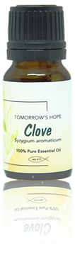 Clove essential oil was traditionally used as medical remedy for ailments