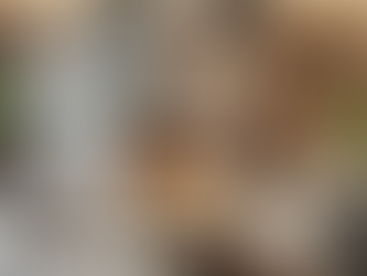 Expert Professional Fireplace Installation in Lafayette