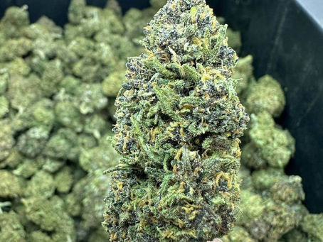 Discover the Best Hemp CBD Flower Strains Now!
