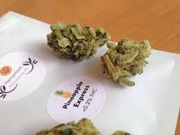 Find Pineapple Express Pre-Rolls Near You Now!