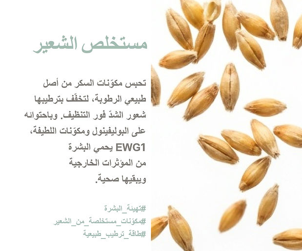 AR_Botanica Cleanser Balancing_Detail Page_1-15.jpg