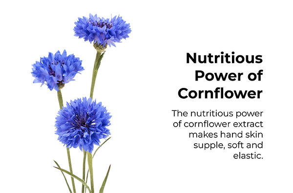 cornflower hand cream_detail_eng -07.jpg