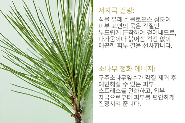 KR_Botanica Peeling Radiance_Detail Page_1-14.jpg