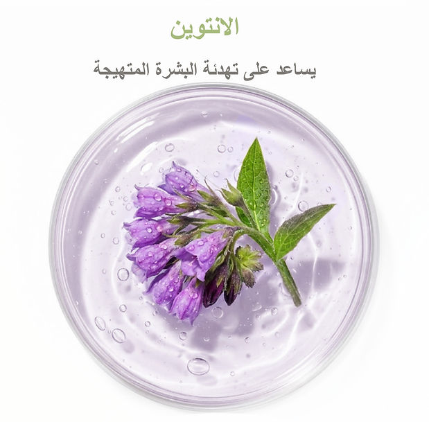 AR_Botanica Refreshing Mask_Detail Page_1-10.jpg