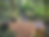 Hintergrund.png