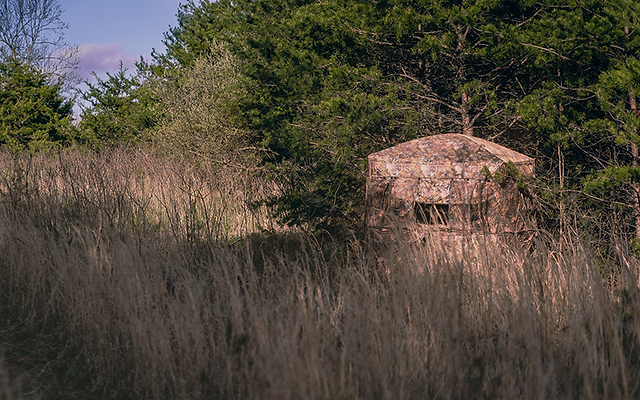 Hunting Blinds Trophy Treestands